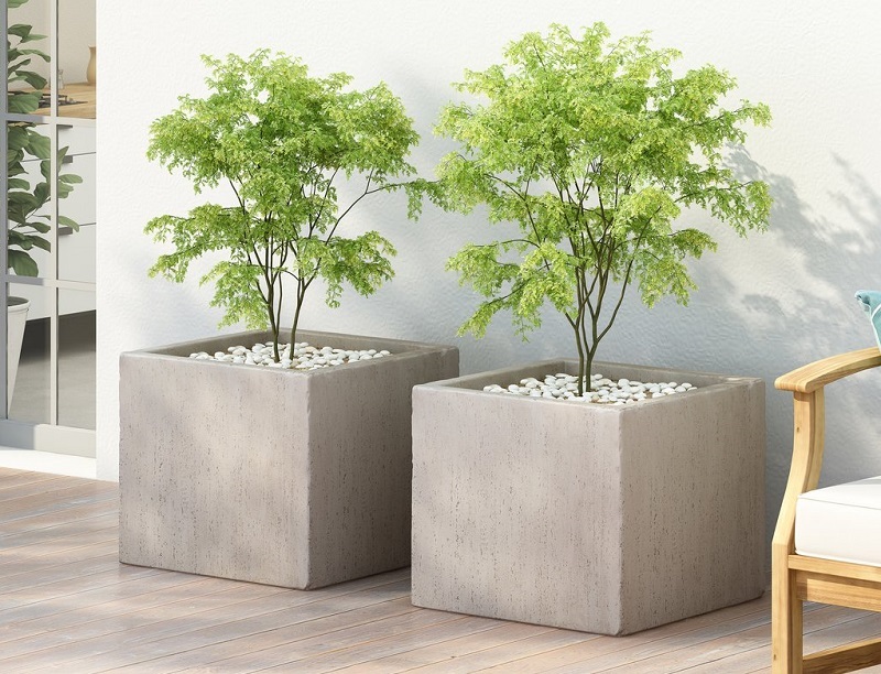 bán chậu xi măng giá rẻ