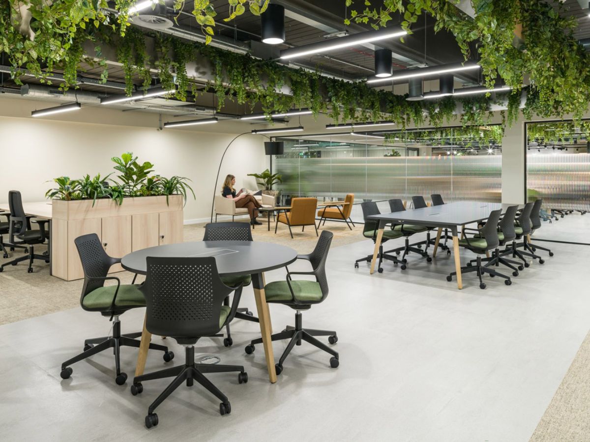 thi-cong-decor-cay-van-phong-cho-cong-ty