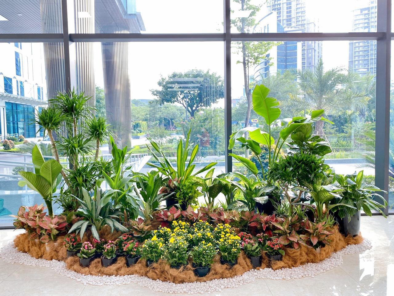 thi-cong-decor-cay-van-phong-tphcm