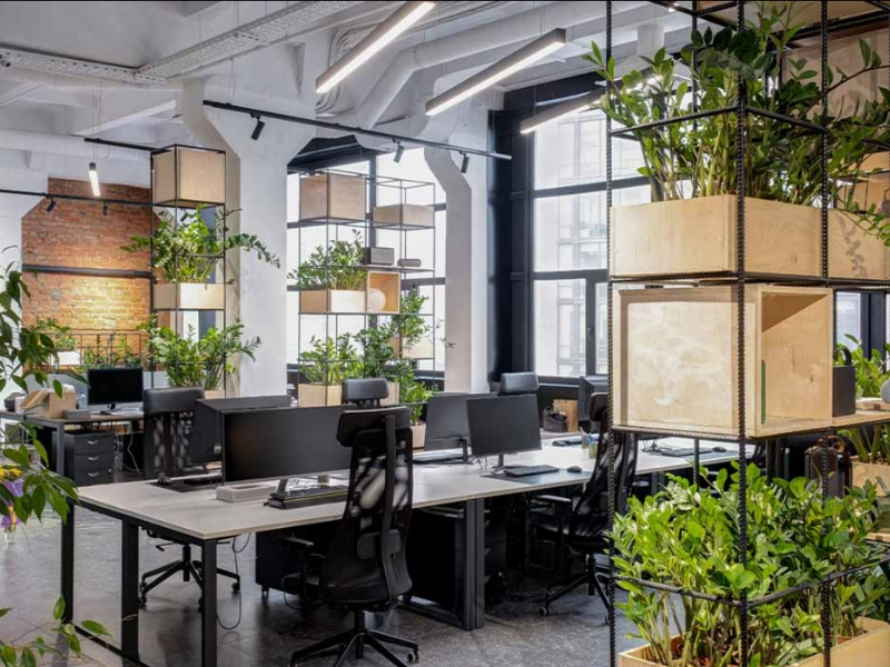 thi-cong-decor-cay-van-phong-cho-cong-ty