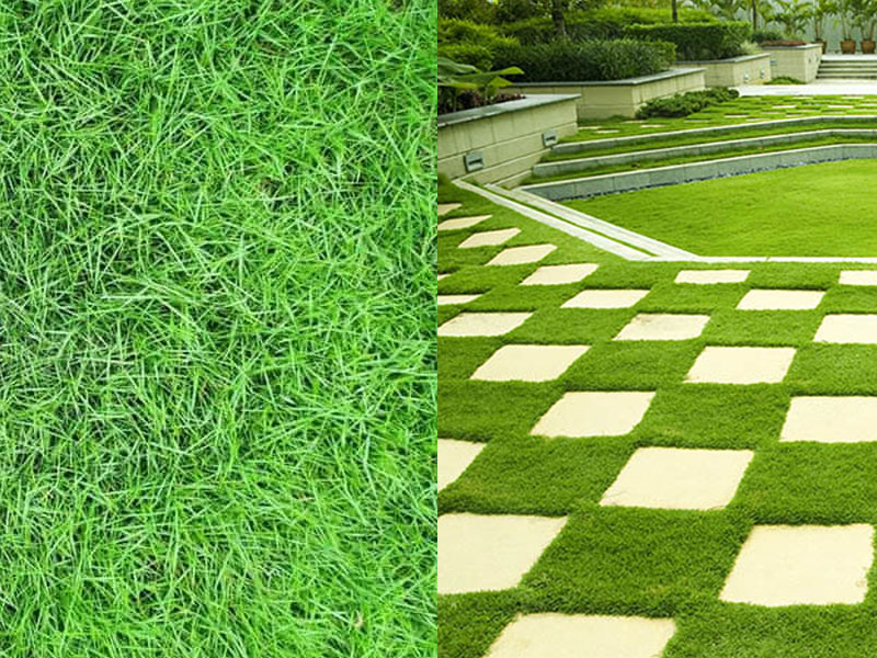 thi-cong-co-nhat-san-vuon-biet-thu-tphcm