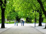 Những lợi ích quý báu của cây xanh dành cho sức khỏe và cuộc sống