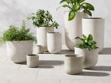 Bán Chậu Xi Măng Giá Rẻ TPHCM | Đa Dạng Mẫu Mã | Độ Bền Cao