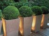 Đơn vị chuyên cung cấp chậu xi măng trồng cây giá rẻ top đầu hiện nay